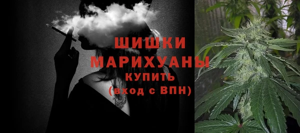 СК Новозыбков