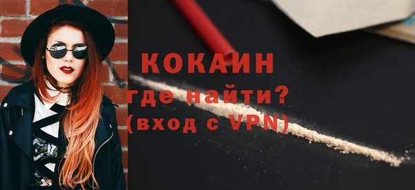 твердый Новодвинск