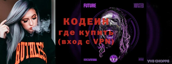 твердый Новодвинск