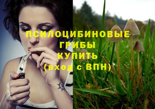 MDMA Premium VHQ Новокубанск