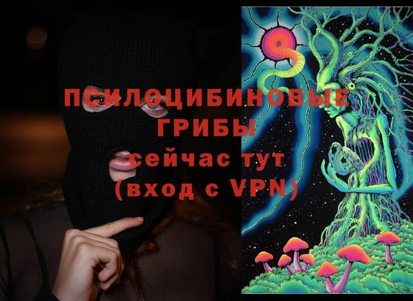 СК Новозыбков