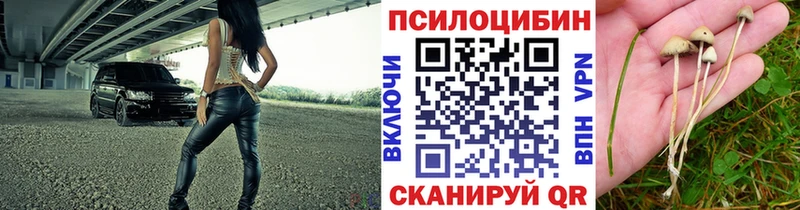 Псилоцибиновые грибы Psilocybe  продажа наркотиков  Харовск 